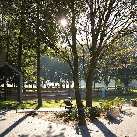 Hoeve Blitterswijk Scheerwolde Esterno foto