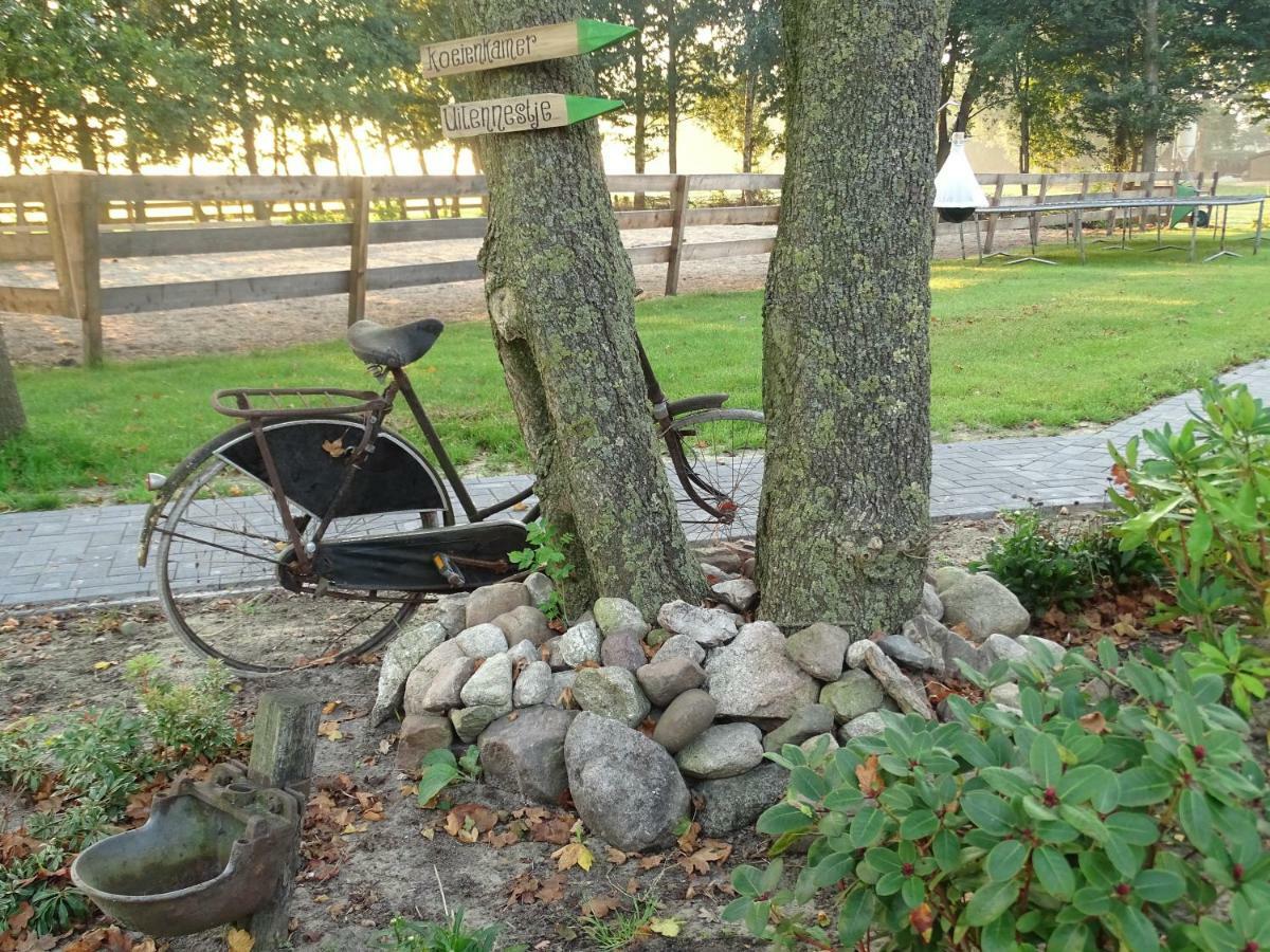 Hoeve Blitterswijk Scheerwolde Esterno foto