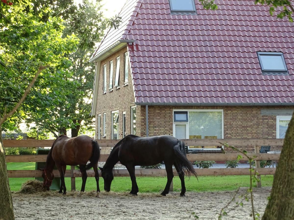 Hoeve Blitterswijk Scheerwolde Esterno foto